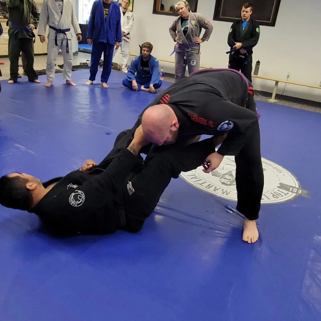 Top Level Martial Arts