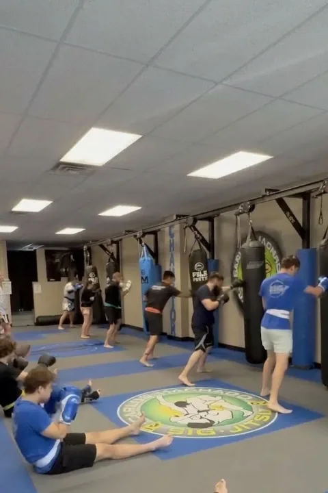 World Kickboxing Academy - Image 2