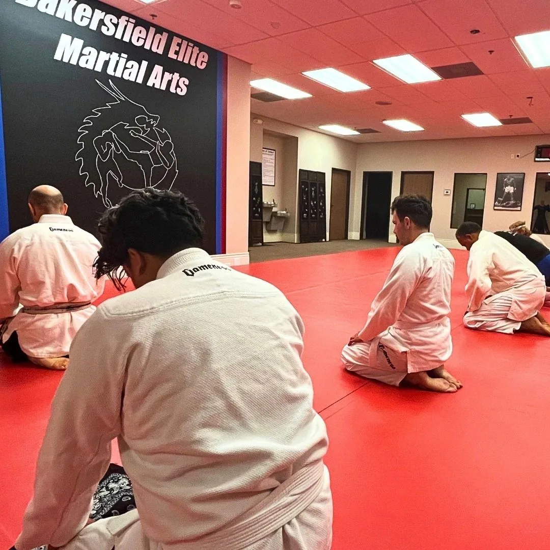 Bakersfield Elite Martial Arts - Image 2