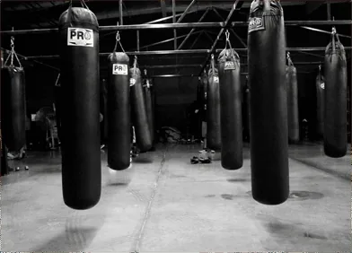 Eric Nolan’s Xtreme Training Center (Bakersfield MMA) - Image 2