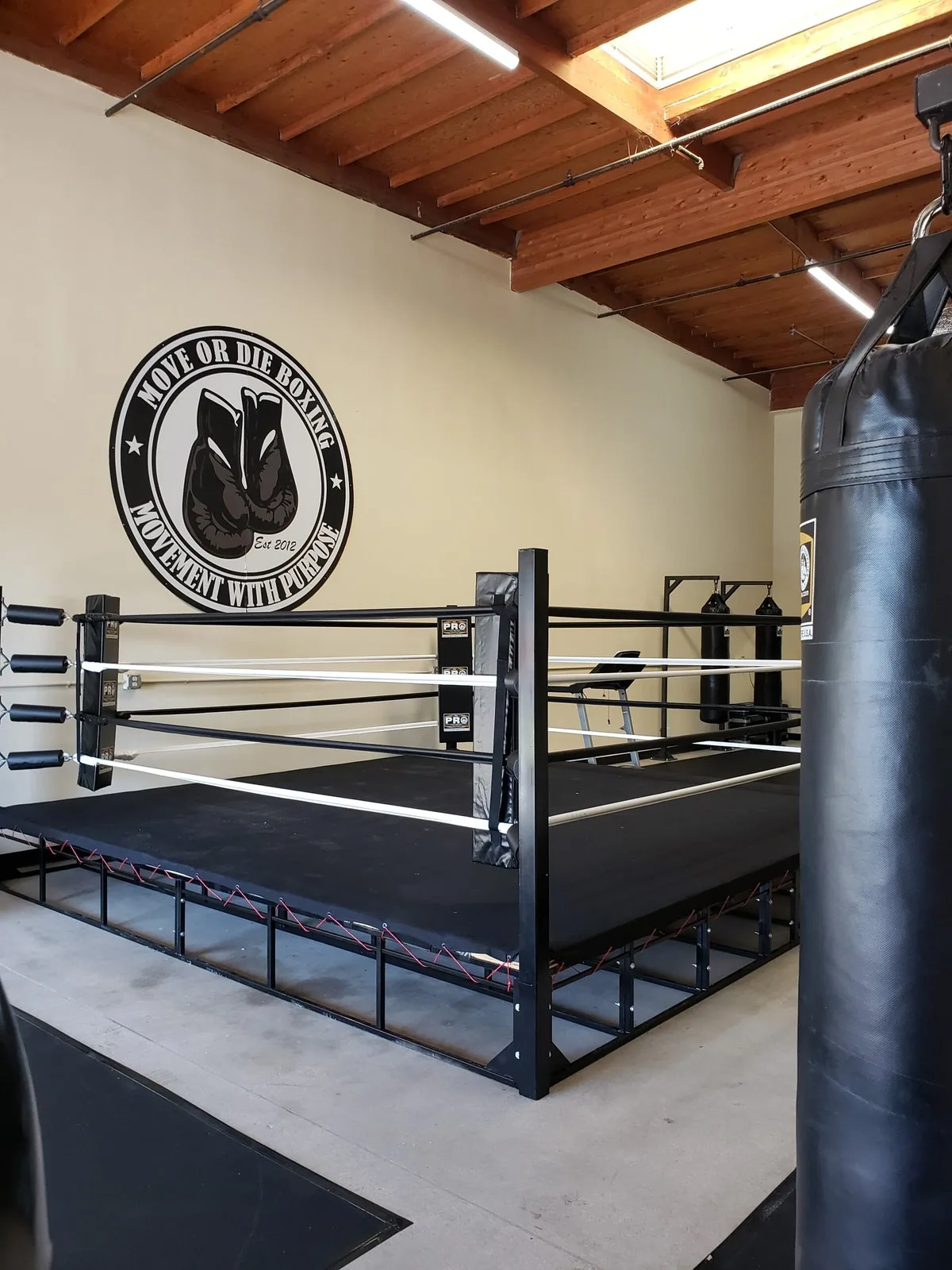 Move or Die Boxing - Image 2