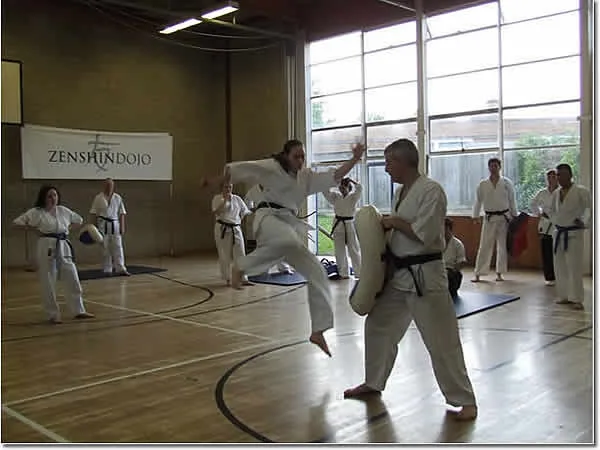Zenshin Dojo (Bath)