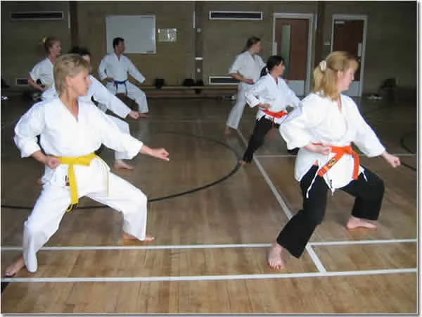 Zenshin Dojo (Bath) - Image 2