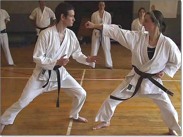Zenshin Dojo (Bath) - Image 3