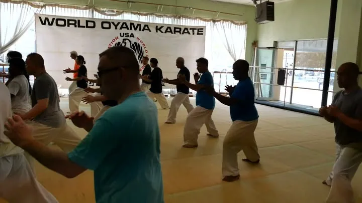 World Oyama Karate