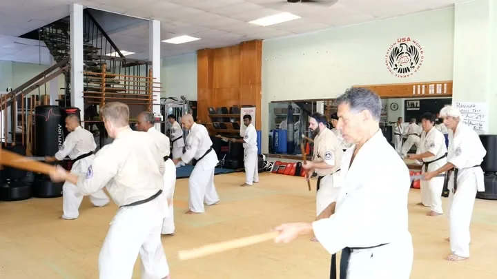 World Oyama Karate - Image 2