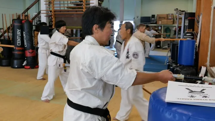 World Oyama Karate - Image 3