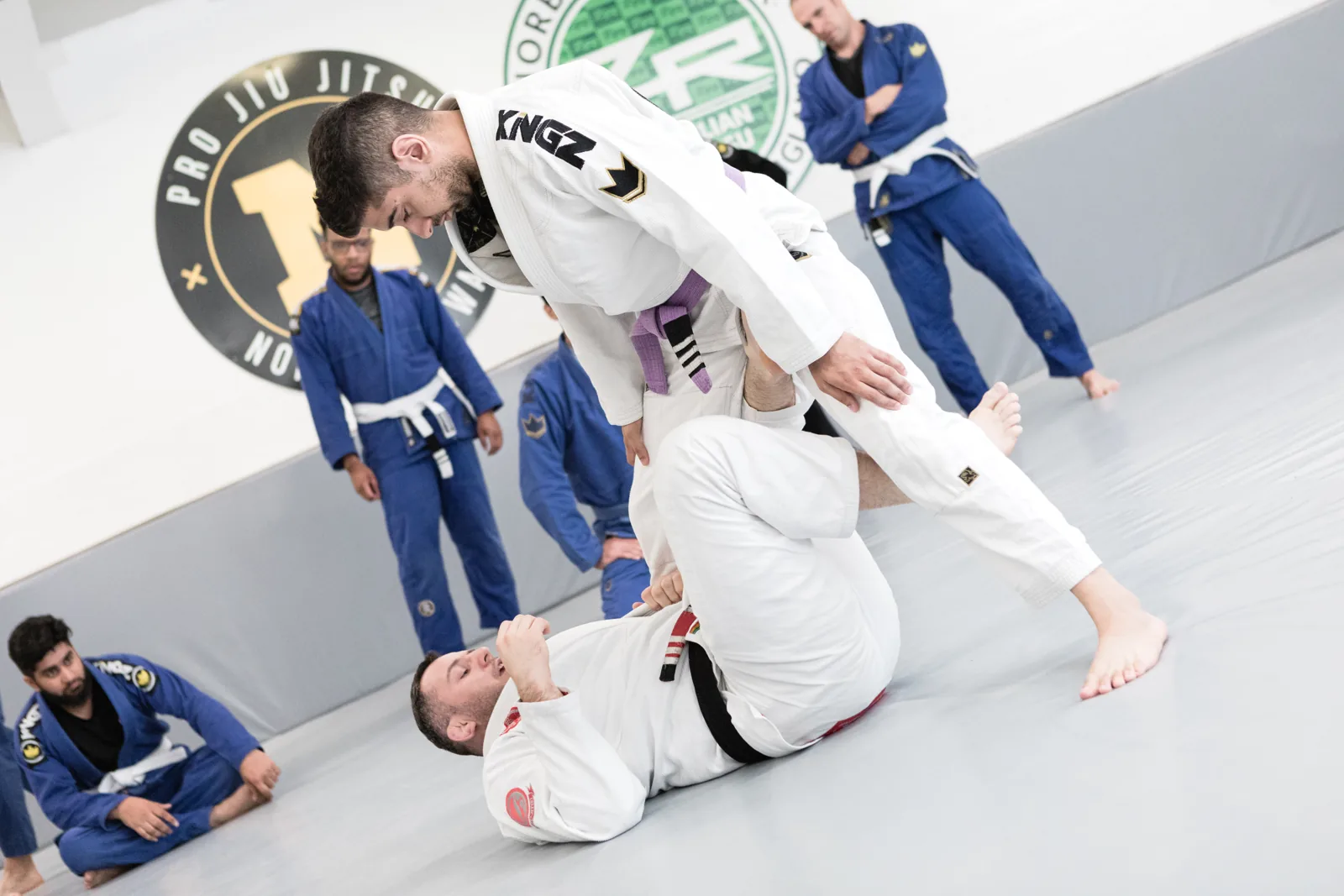 Pro Jiu Jitsu