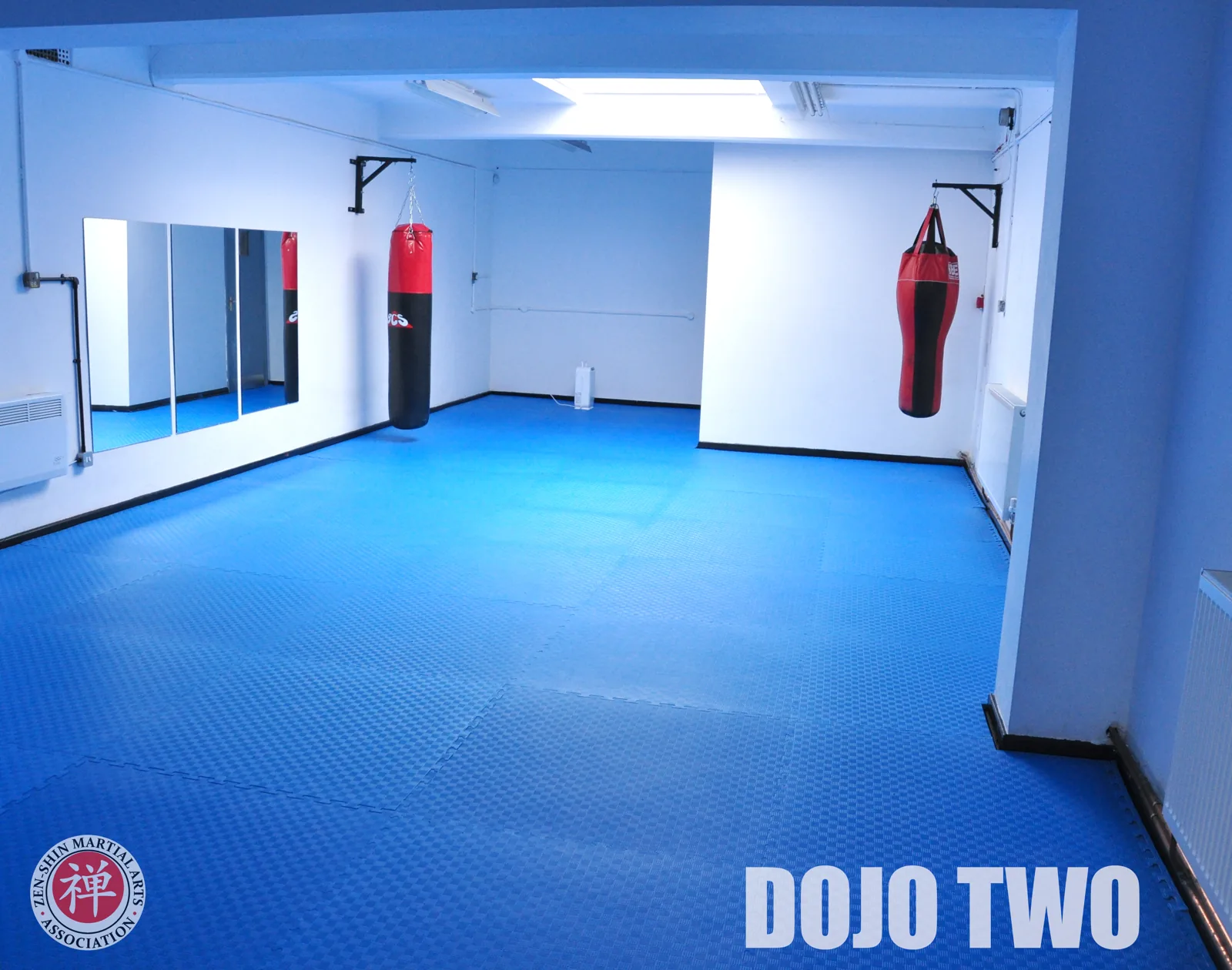 Zen-Shin Martial Arts Academy - Image 2