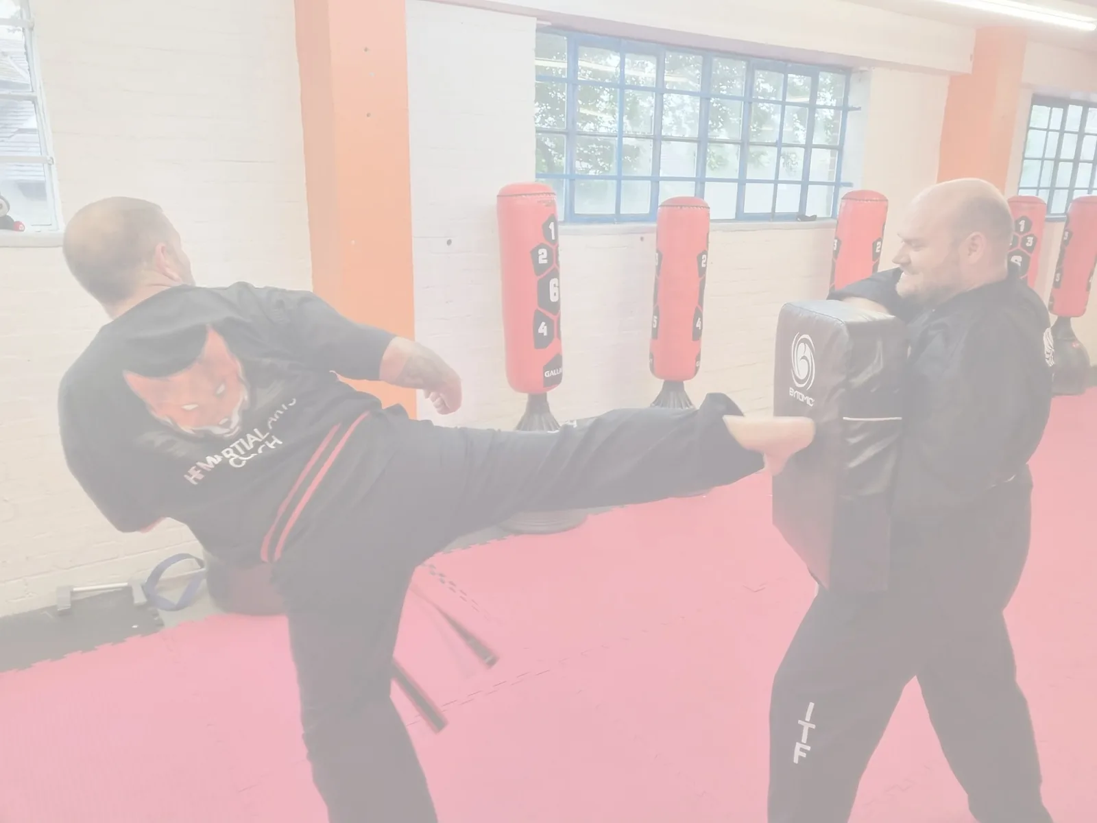 HF Martial Arts - Image 2
