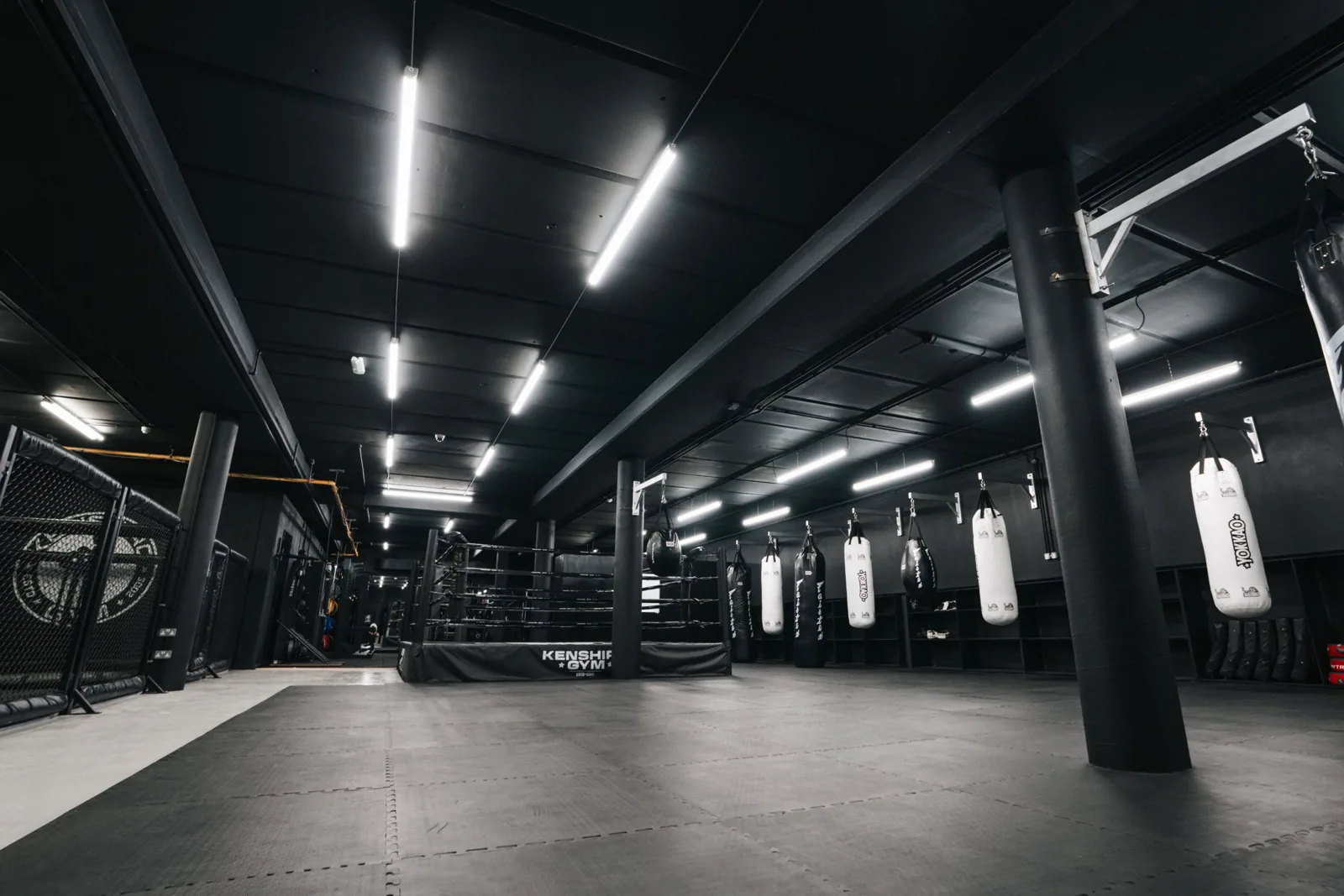 Kenshiro Gym