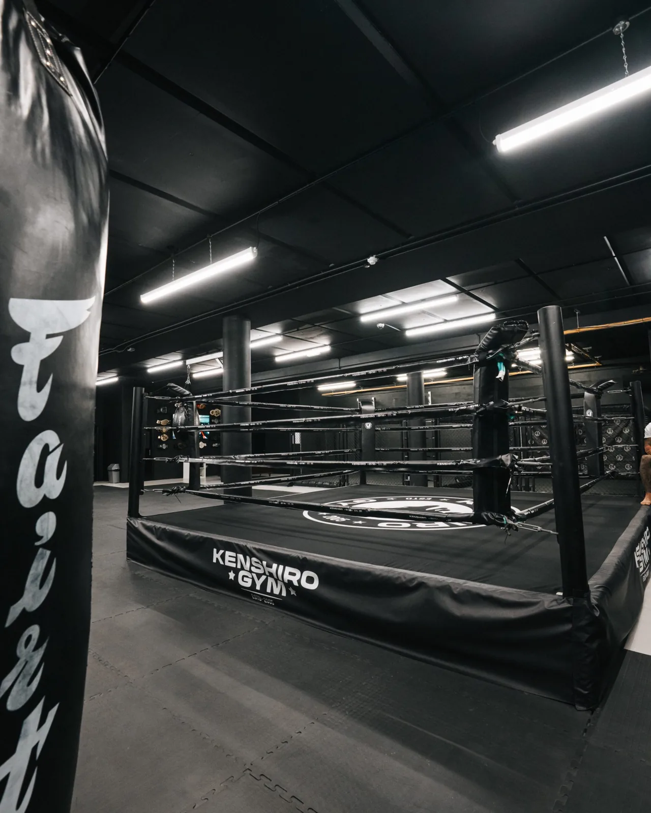 Kenshiro Gym - Image 2