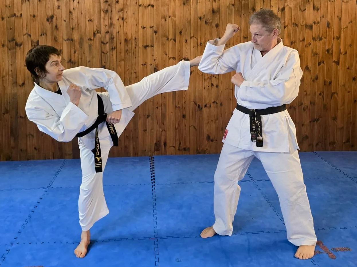 Kicks Martial Arts Centre - Image 2