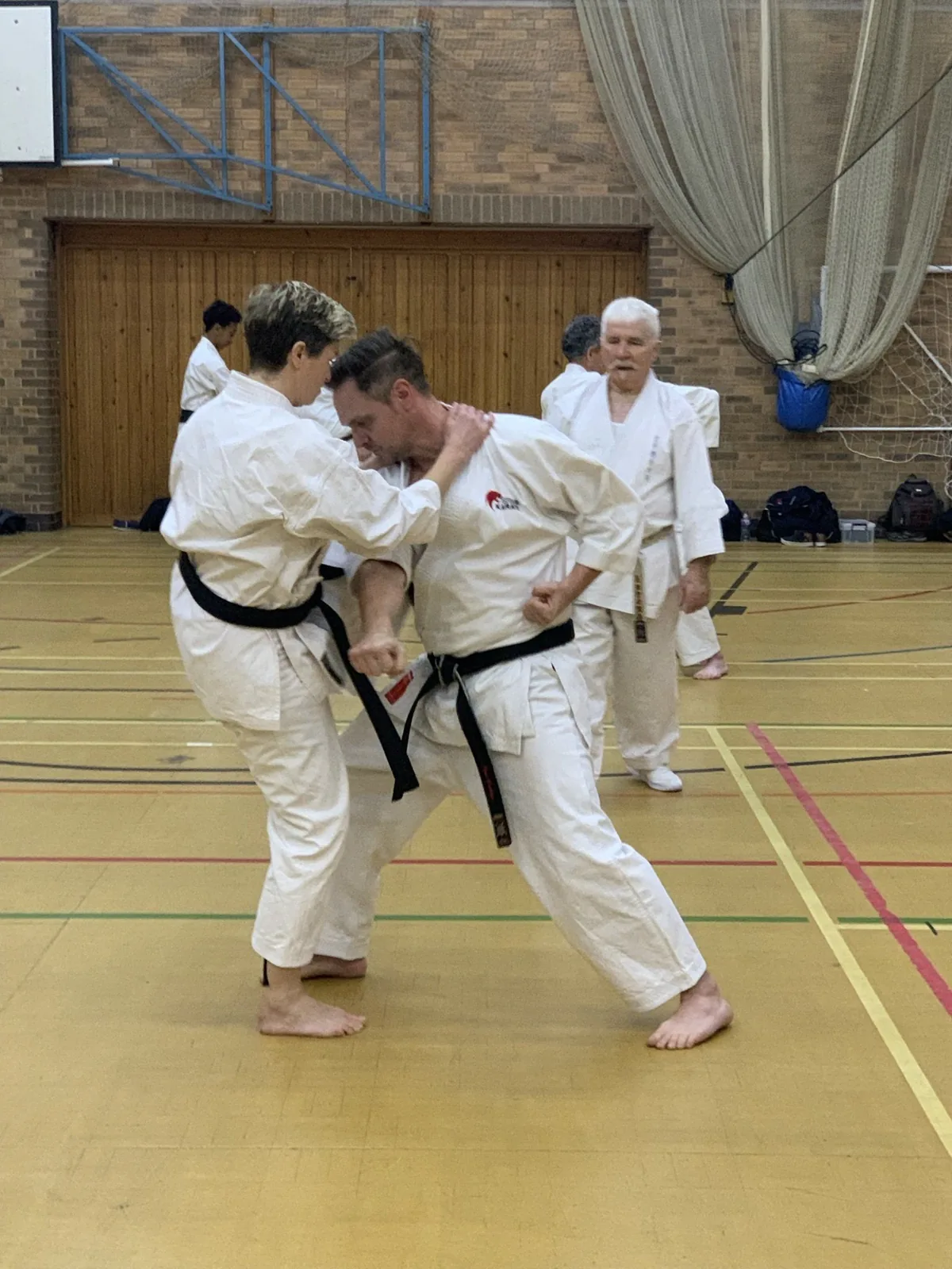 Seishin Shotokan Karate Club Brighton