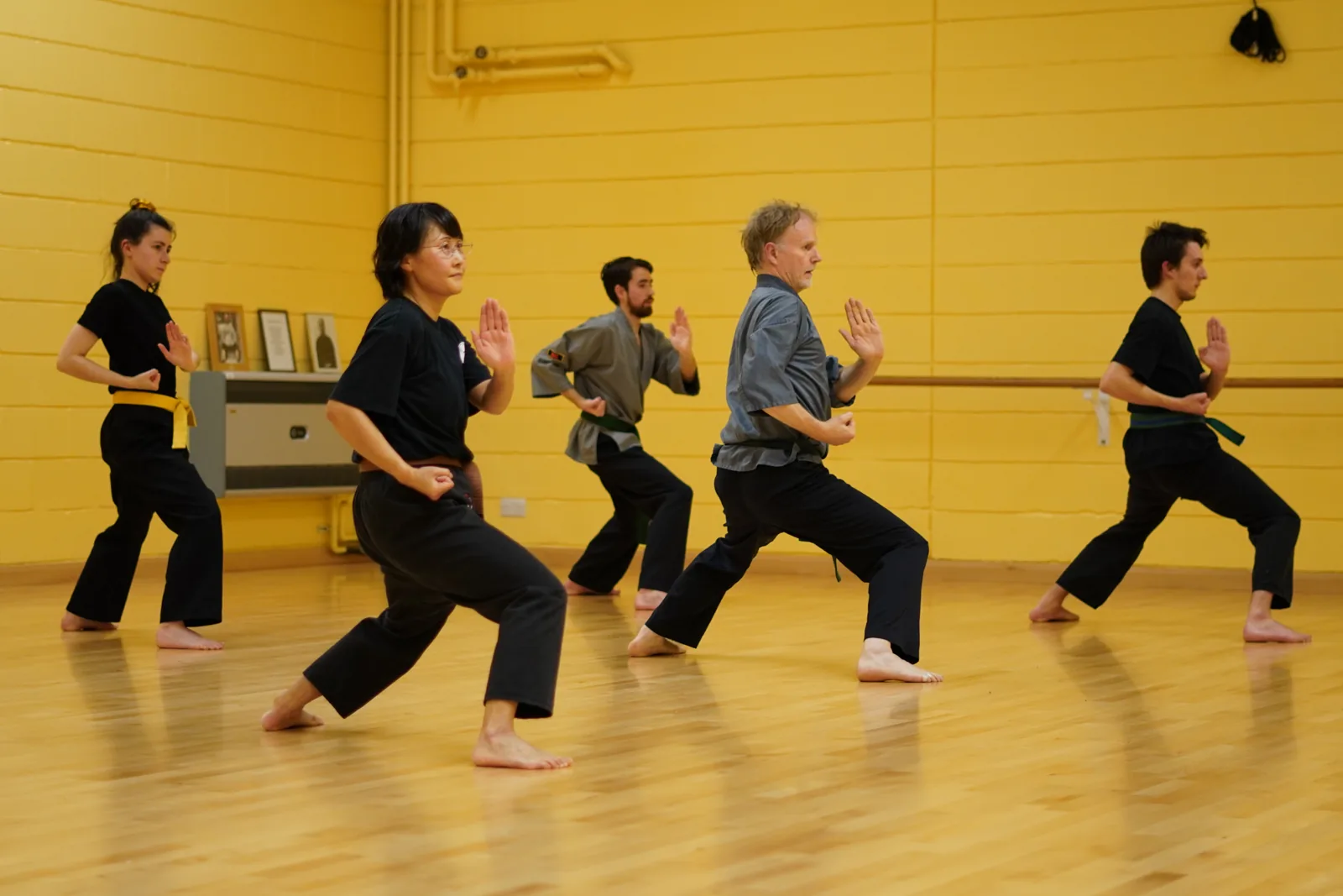 Sussex Nam Pai Chuan Kung Fu