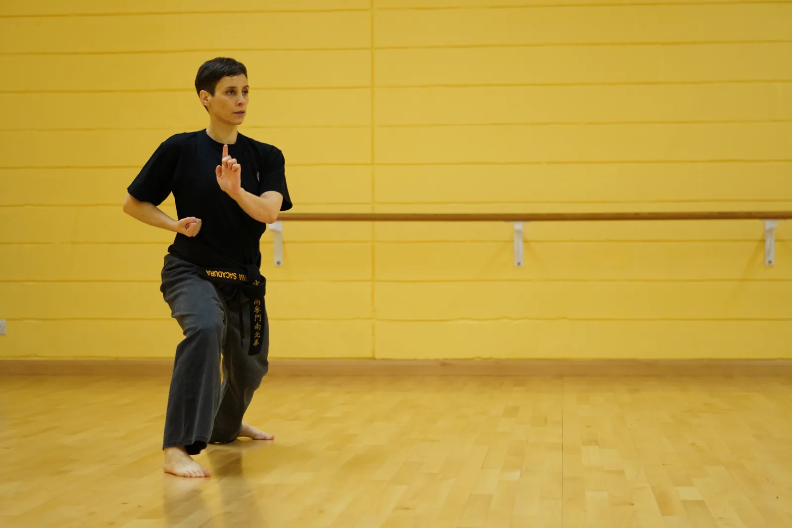 Sussex Nam Pai Chuan Kung Fu - Image 2