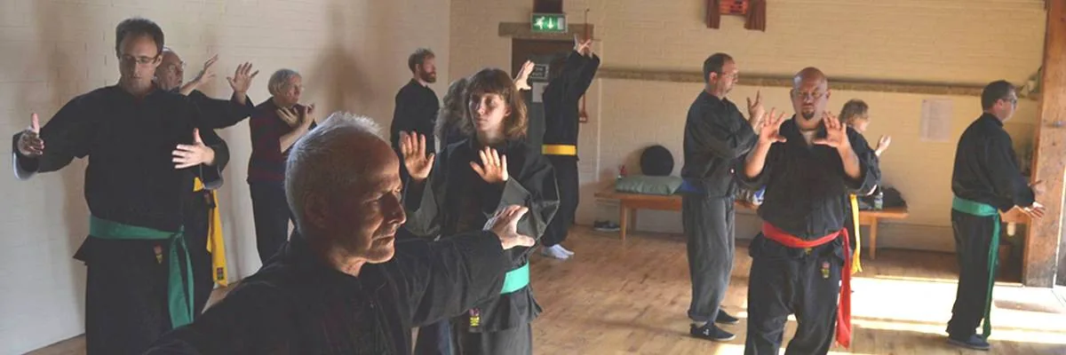 Harmony Arts Association — Frenchay Tai Chi - Image 2