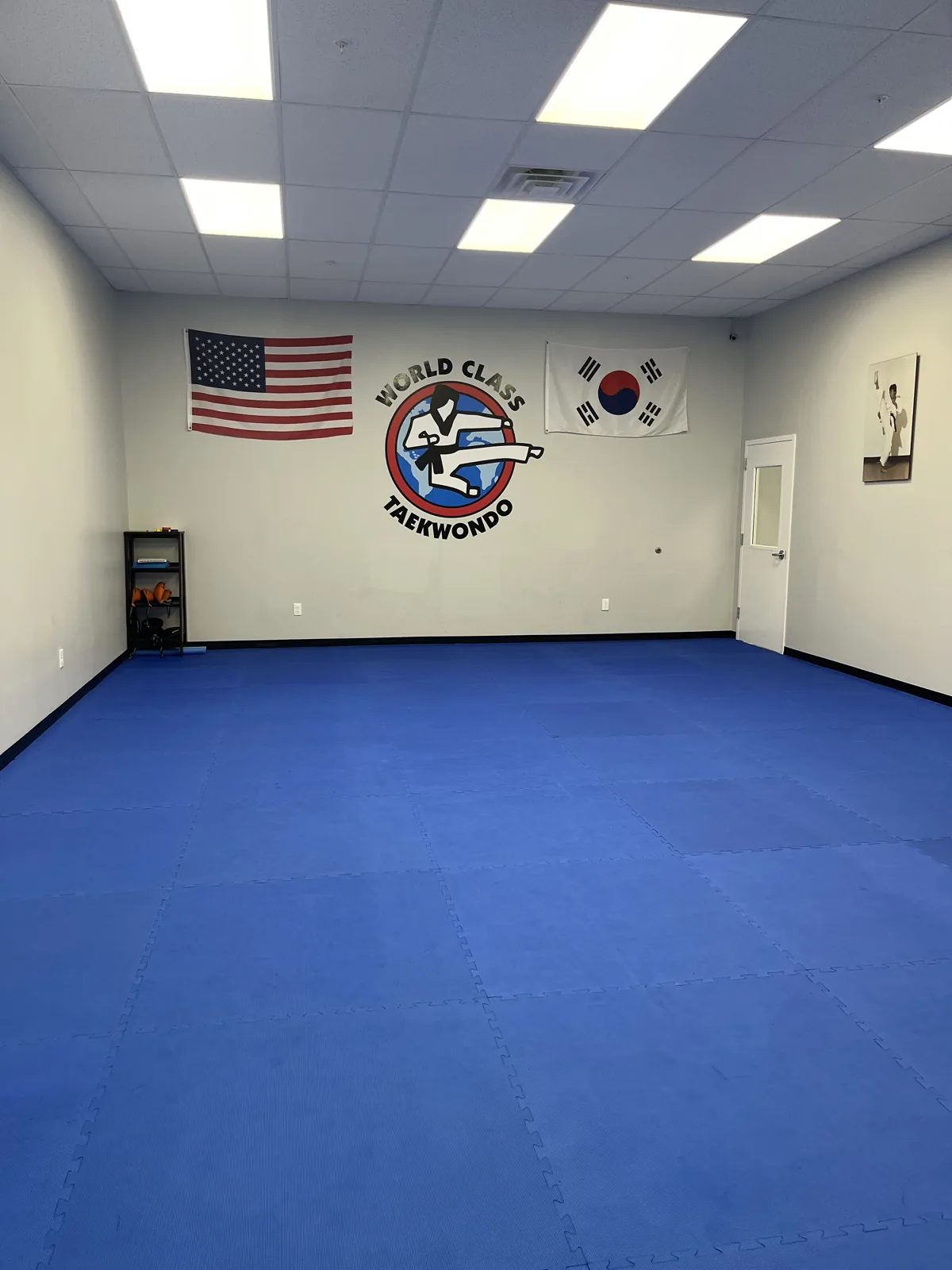 World Class Taekwondo (Amherst) - Image 2