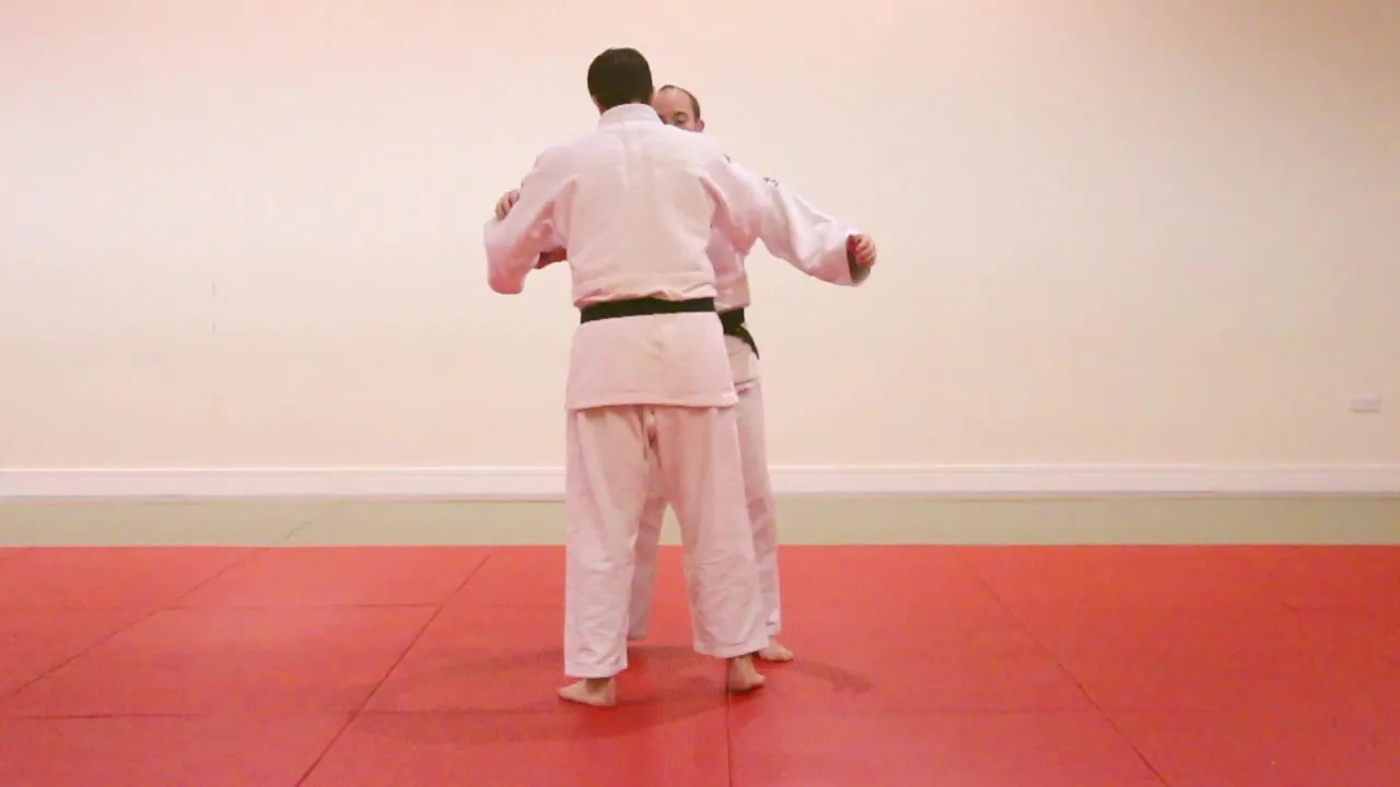 Honto Judo - Image 2