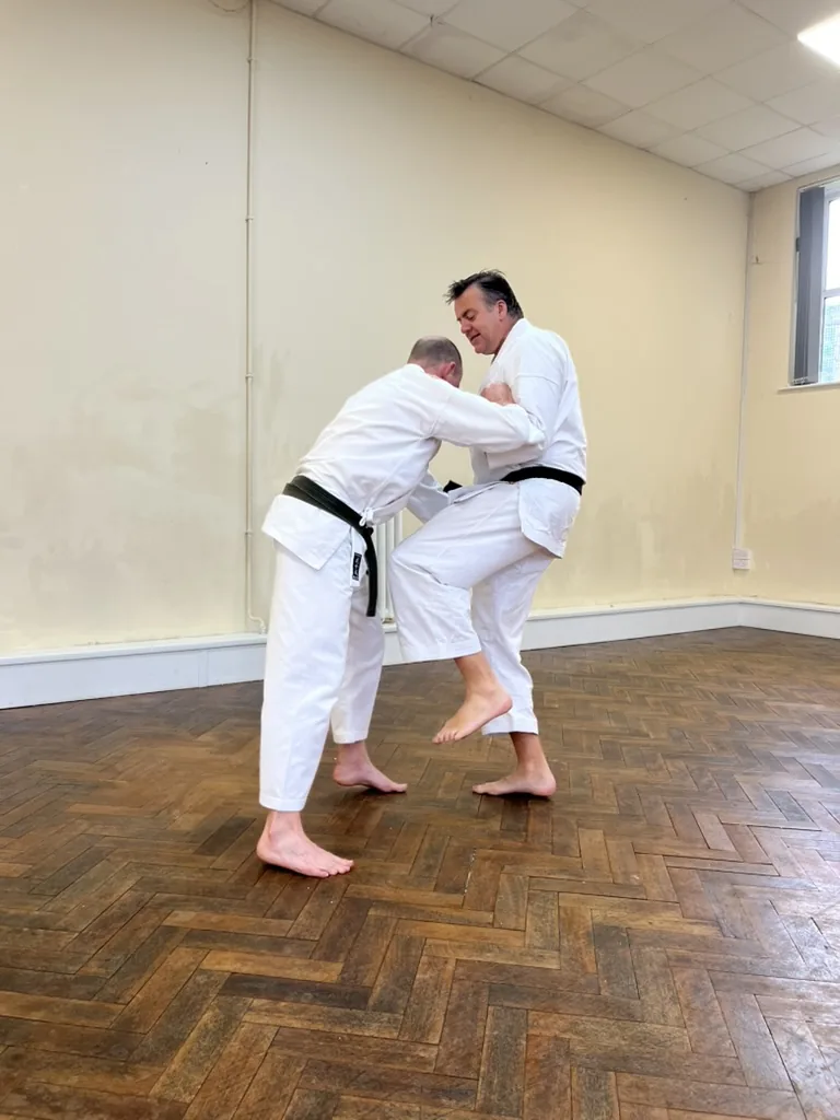 Kokoro Shotokan Karate