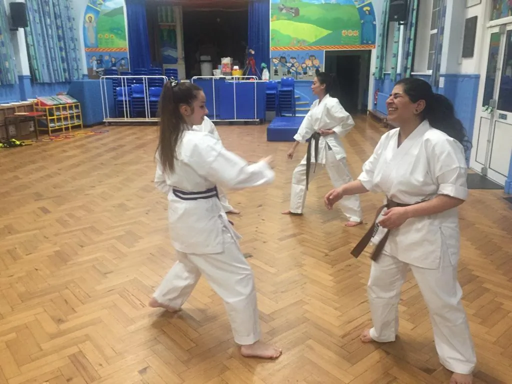 Koryu Karate