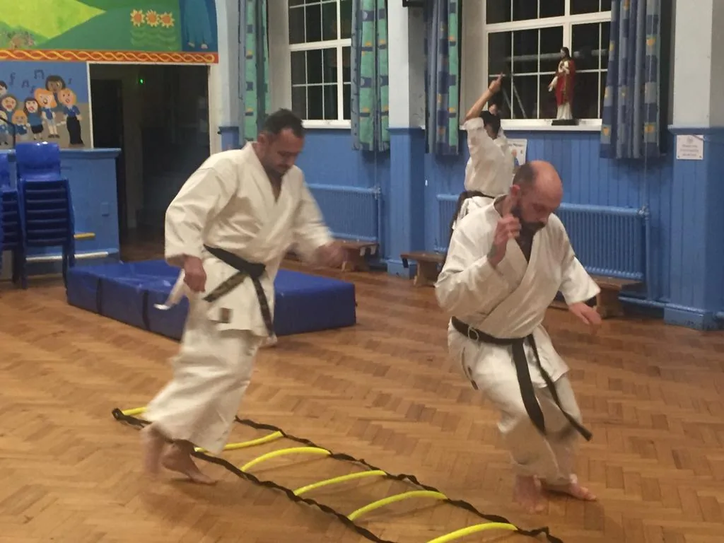 Koryu Karate - Image 2