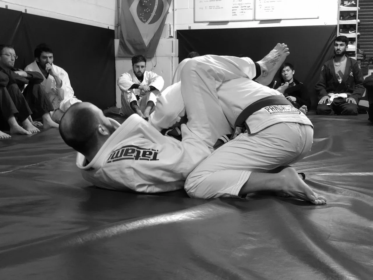 Rob Taylor Jiu-Jitsu Academy