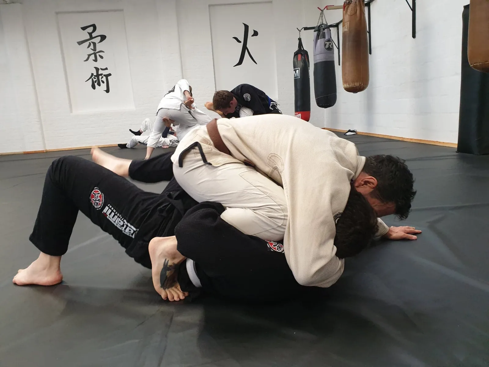 Xplore BJJ