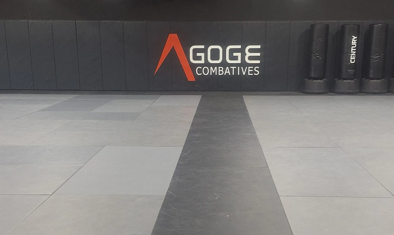 Agoge Combatives