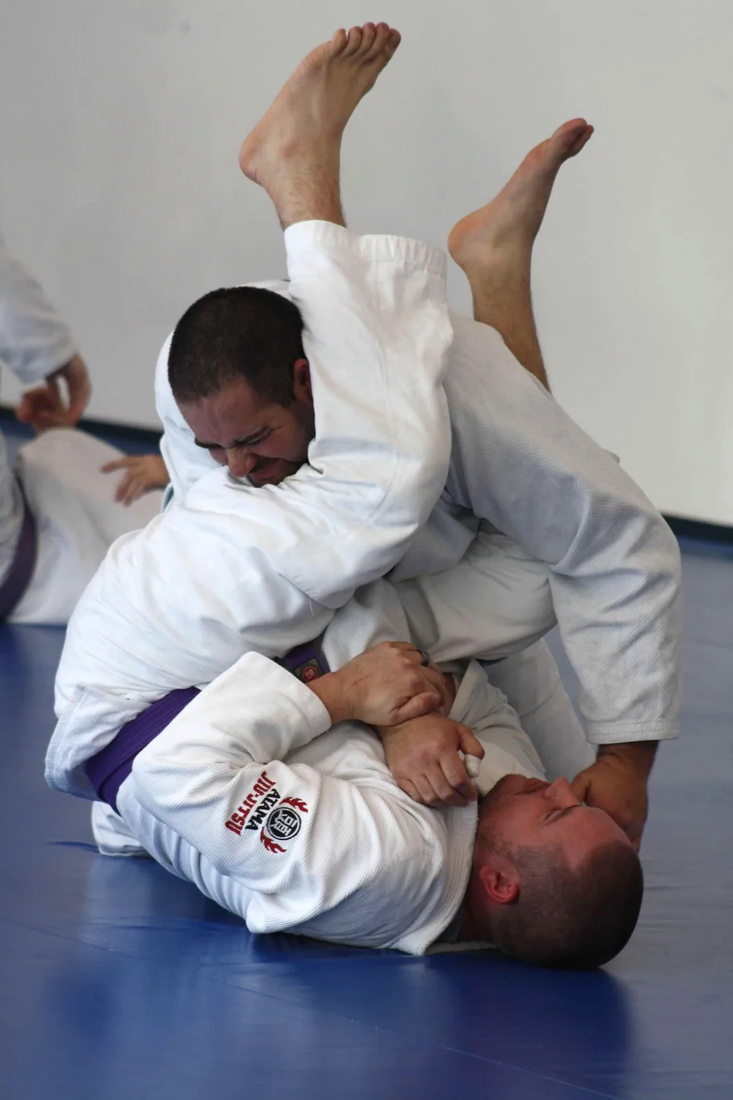 Chattanooga Jiu-Jitsu Academy - Image 3
