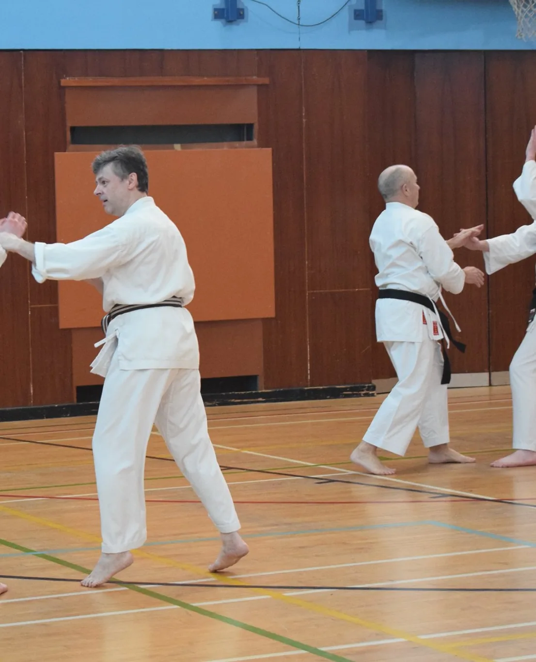 Renshu Shotokan Karate