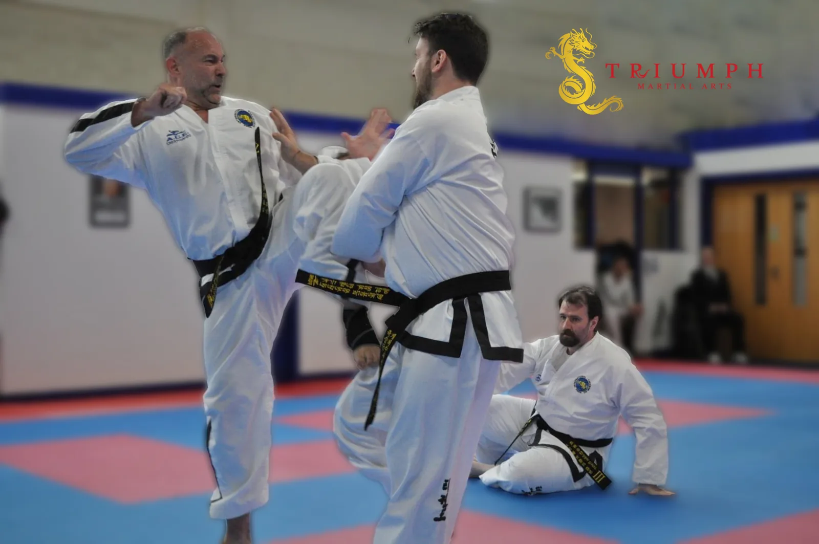 Triumph Taekwon-Do