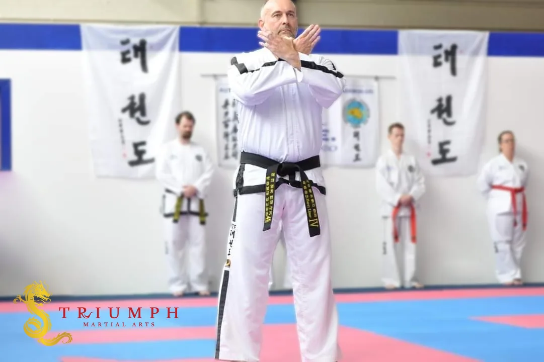 Triumph Taekwon-Do - Image 2