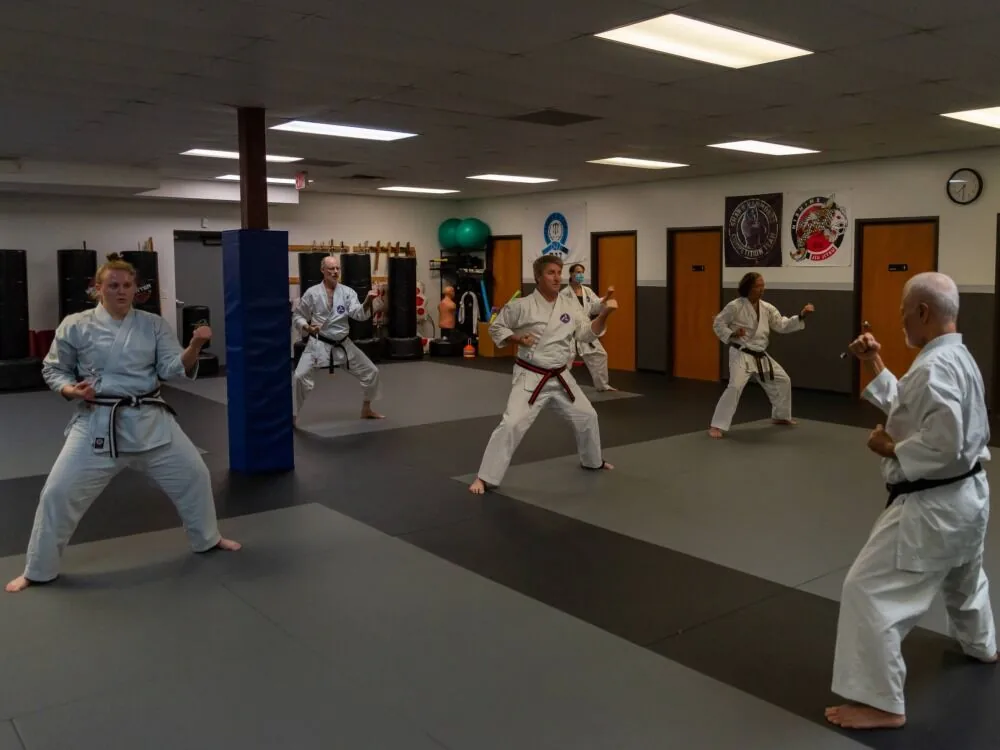 Nishime Martial Arts - Image 2
