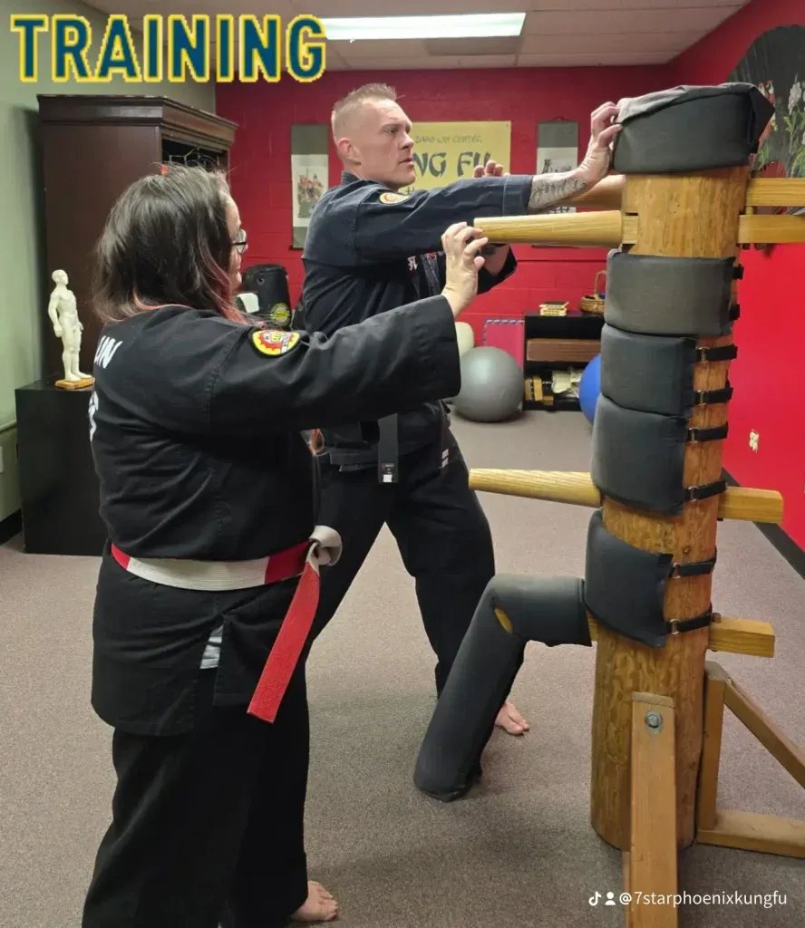7-Star Phoenix Shao-lin Kung Fu