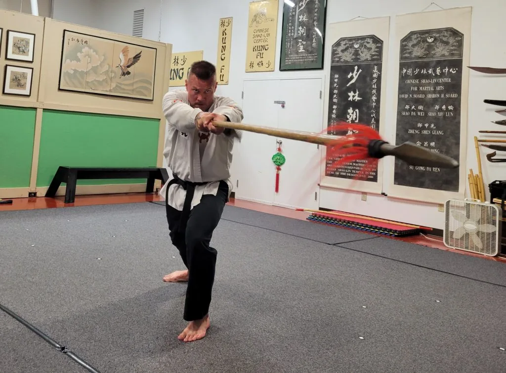 7-Star Phoenix Shao-lin Kung Fu - Image 2