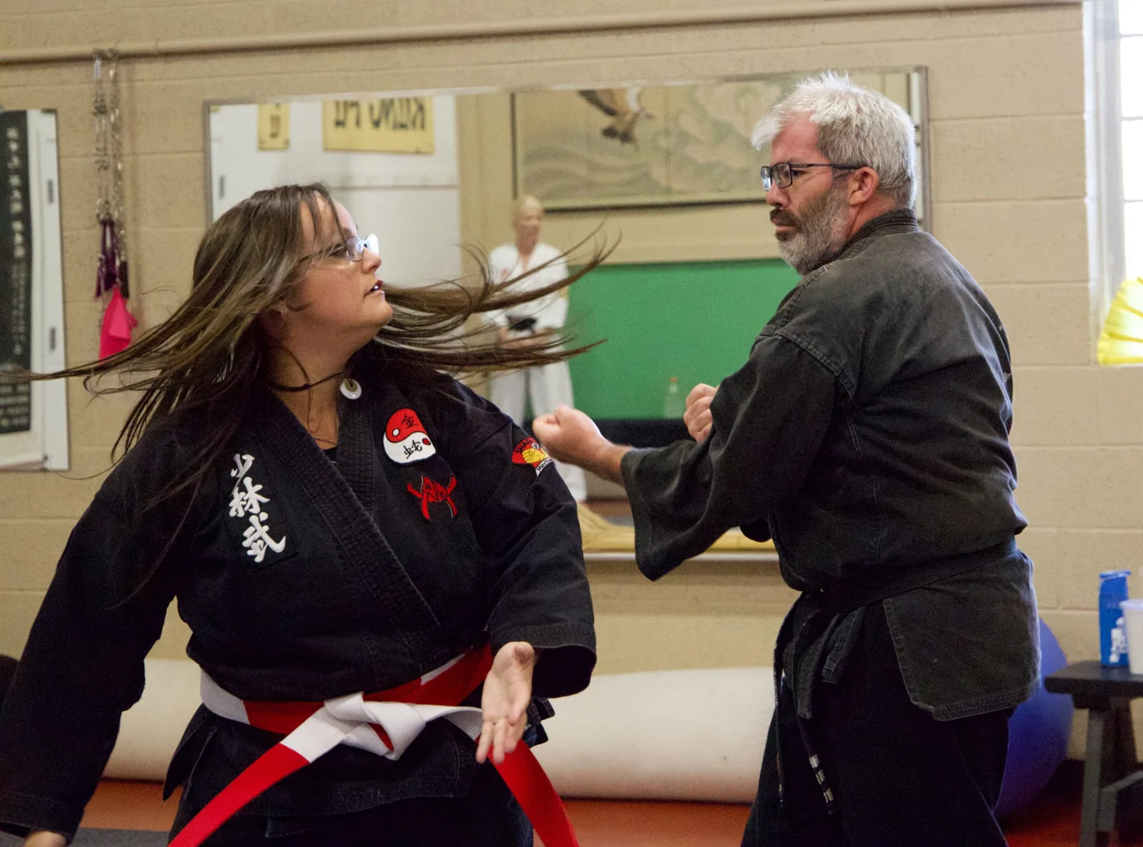 7-Star Phoenix Shao-lin Kung Fu - Image 3