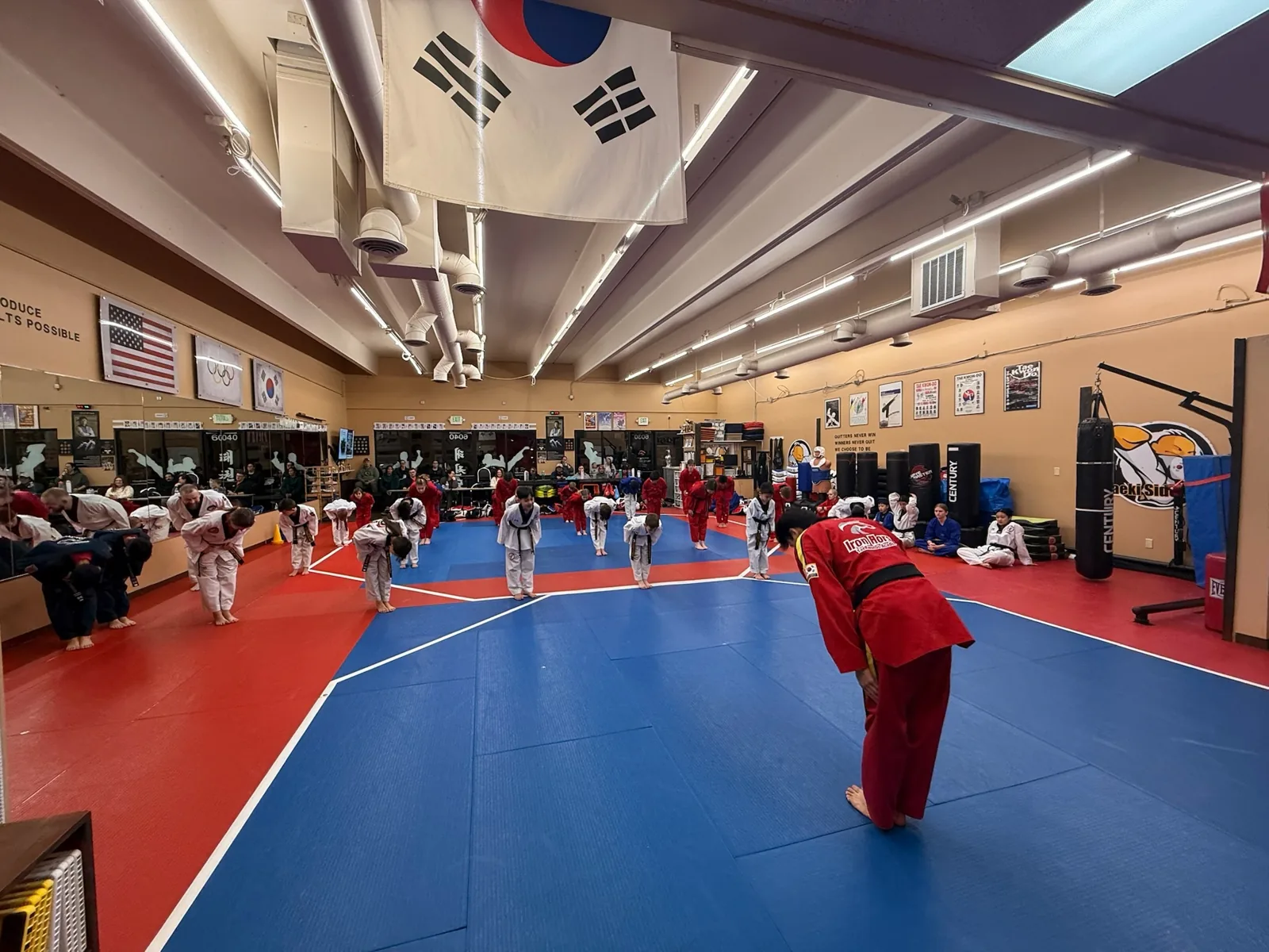 Iron-Horse Taekwondo Academy - Image 2