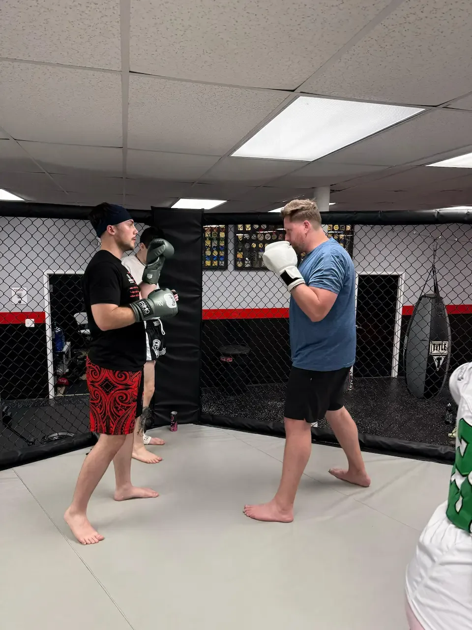 Spartan Academy Mixed Martial Arts - Image 2