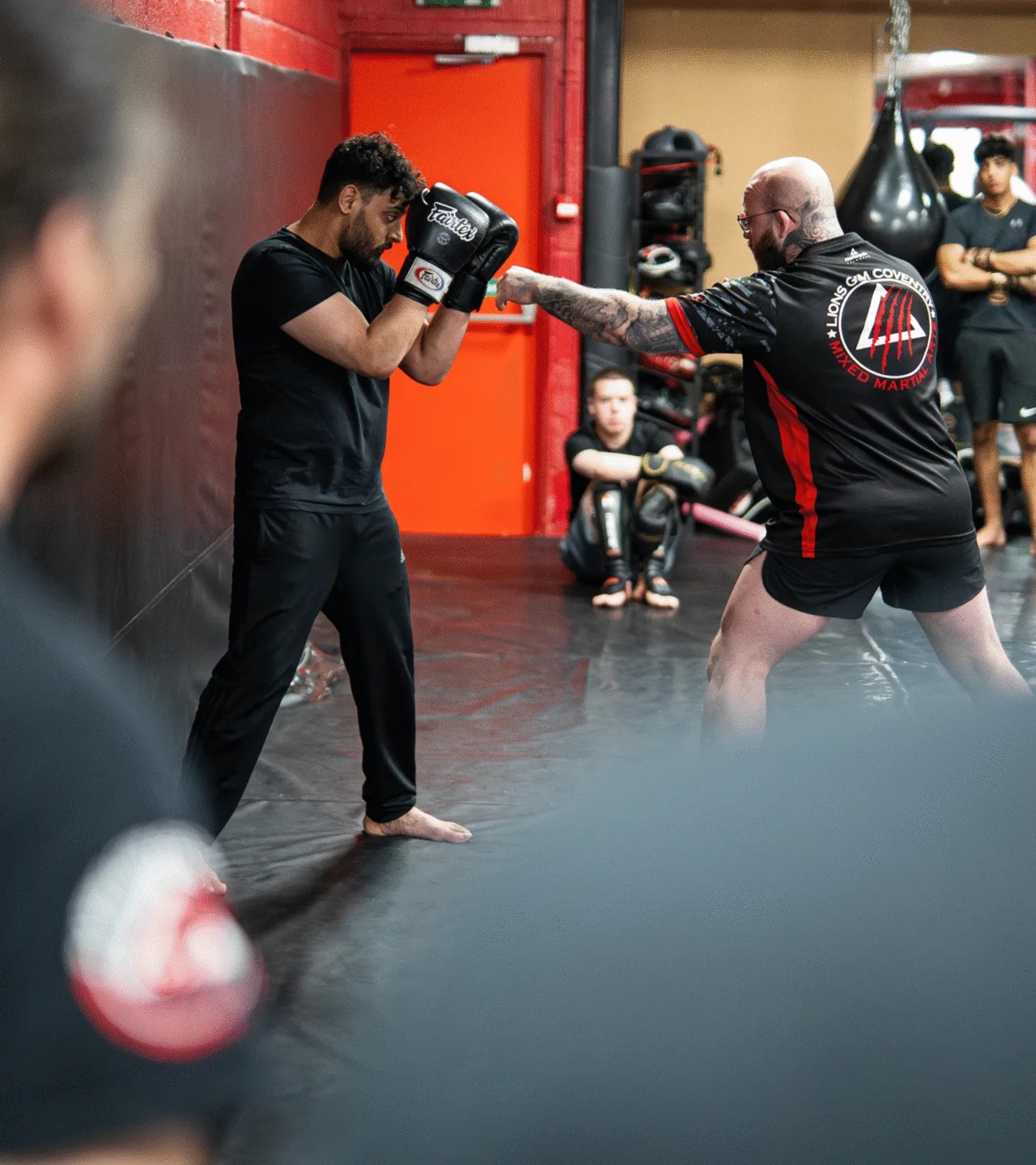 Lions Gym - Image 2