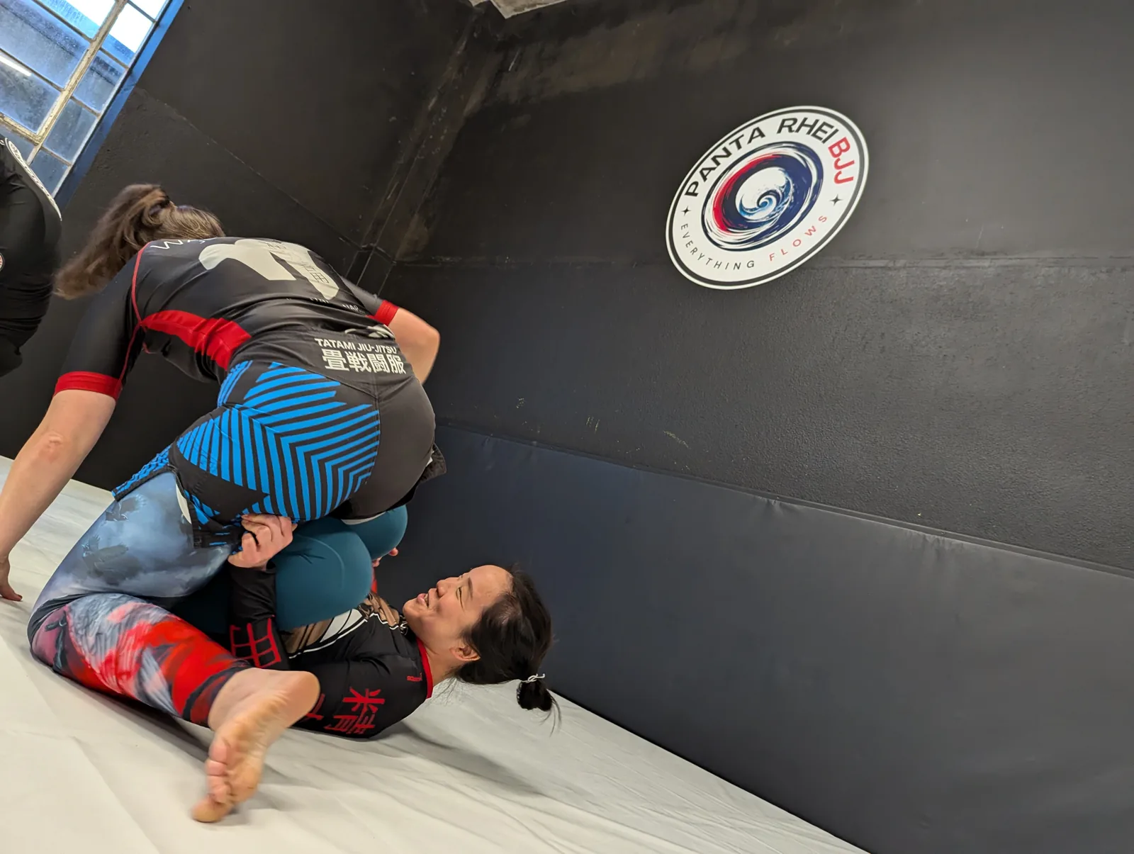 Panta Rhei BJJ - Image 2