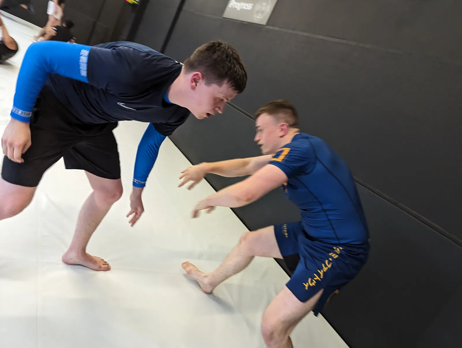 Panta Rhei BJJ - Image 3