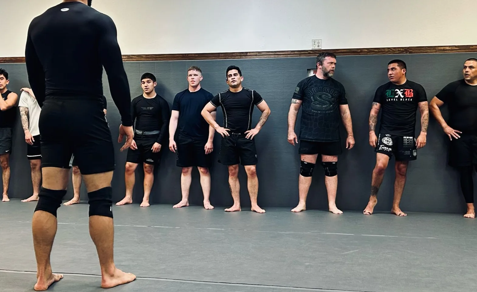 AOA Academy (Ambassadors of the Art)