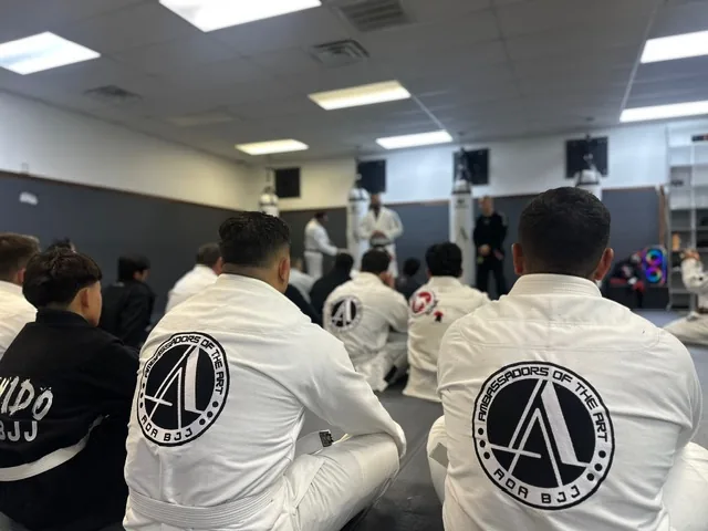 AOA Academy (Ambassadors of the Art) - Image 2