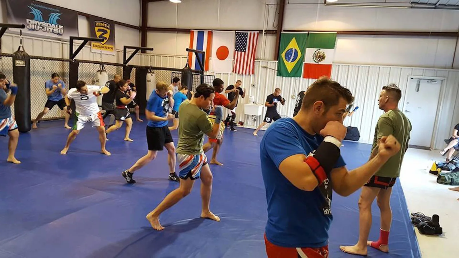 Briggs MMA
