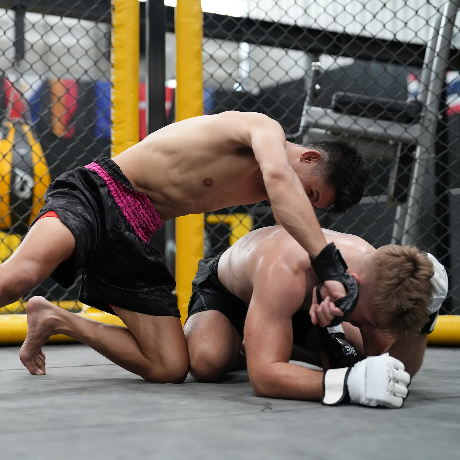 Bushido MMA and BJJ Academy