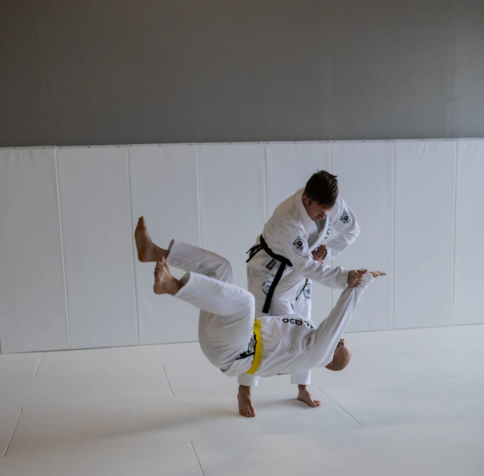 Ocelotl Martial Arts Academy - Image 2