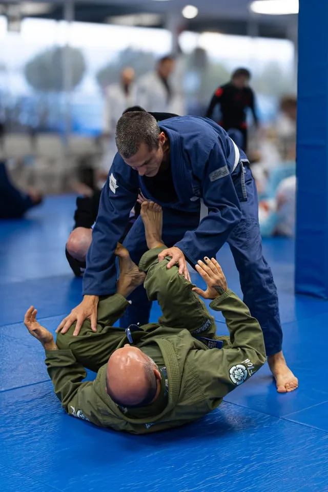 Grey Wolf Brazilian Jiu-Jitsu - Image 2