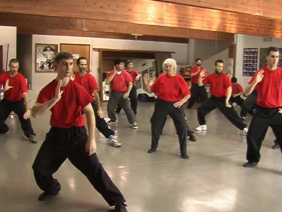 Leung Martial Arts - Image 2