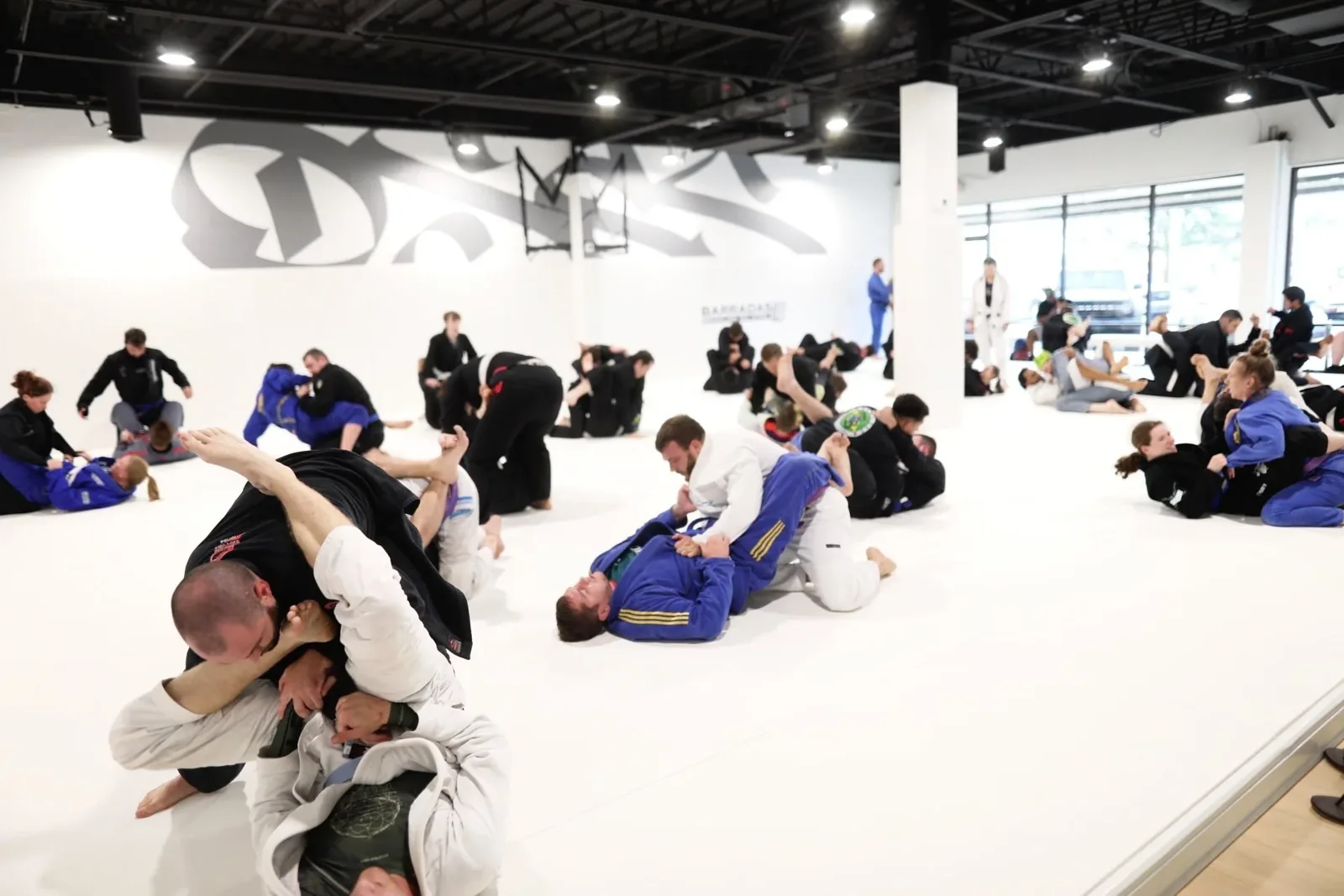 The Fight Lab by Lee Bros - Image 3